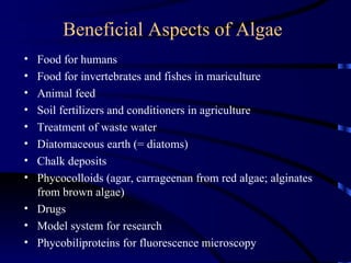 Beneficial Aspects of Algae
• Food for humans
• Food for invertebrates and fishes in mariculture
• Animal feed
• Soil fertilizers and conditioners in agriculture
• Treatment of waste water
• Diatomaceous earth (= diatoms)
• Chalk deposits
• Phycocolloids (agar, carrageenan from red algae; alginates
  from brown algae)
• Drugs
• Model system for research
• Phycobiliproteins for fluorescence microscopy
 