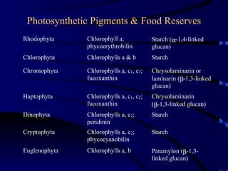 Photosynthetic Pigments & Food Reserves
Rhodophyta     Chlorophyll a;            Starch (α-1,4-linked
               phycoerythrobilin         glucan)
Chlorophyta    Chlorophylls a & b        Starch

Chromophyta    Chlorophylls a, c1, c2;   Chrysolaminarin or
               fucoxanthin               laminarin (β-1,3-linked
                                         glucan)
Haptophyta     Chlorophylls a, c1, c2;   Chrysolaminarin
               fucoxanthin               (β-1,3-linked glucan)
Dinophyta      Chlorophylls a, c2;       Starch
               peridinin
Cryptophyta    Chlorophylls a, c2;       Starch
               phycocyanobilin
Euglenophyta   Chlorophylls a, b         Paramylon (β-1,3-
                                         linked glucan)
 
