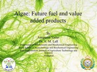 Algae: Future fuel and value
added products
By
Anupama Yadav
Dr. A. M. Lall
Department of Biochemistry and Biochemical Engineering
Jacob School of Biotechnology and Biochemical Engineering
Sam Higginbottom Institute of Agriculture Technology and
Sciences
Allahabad

© [Anupama.Yadav] [2014]

 
