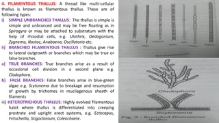 4. FILAMENTOUS THALLUS: A thread like multi-cellular
thallus is known as filamentous thallus. These are of
following types:
i) SIMPLE UNBRANCHED THALLUS: The thallus is simple is
simple and unbranced and may be free floating as in
Spirogyra or may be attached to substratum with the
help of rhizodial cells, e.g. Ulothrix, Oedogonium,
Zygnema, Nostoc, Anabaena, Oscillatoria etc.
ii) BRANCHED FILAMENTOUS THALLUS : Thallus give rise
to lateral outgrowth or branches which may be true or
false branches.
a) TRUE BRANCHES: True branches arise as a result of
occasional cell division in a second plane e.g.
Cladophora.
b) FALSE BRANCHES: False branches arise in blue-green
algae e.g. Scytonema due to breakage and resumption
of growth by trichomes in mucilagenous sheath of
filaments
iii) HETEROTRICHOUS THALLUS: Highly evolved filamentous
habit where thallus is differentiated into creeping
prostrate and upright erect systems, e.g. Ectocapus,
Fritscheilla, Stigoclonium, Coleochaete.
 