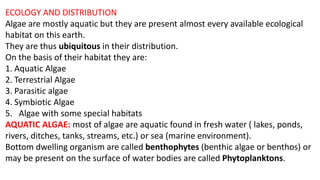 ECOLOGY AND DISTRIBUTION
Algae are mostly aquatic but they are present almost every available ecological
habitat on this earth.
They are thus ubiquitous in their distribution.
On the basis of their habitat they are:
1. Aquatic Algae
2. Terrestrial Algae
3. Parasitic algae
4. Symbiotic Algae
5. Algae with some special habitats
AQUATIC ALGAE: most of algae are aquatic found in fresh water ( lakes, ponds,
rivers, ditches, tanks, streams, etc.) or sea (marine environment).
Bottom dwelling organism are called benthophytes (benthic algae or benthos) or
may be present on the surface of water bodies are called Phytoplanktons.
 