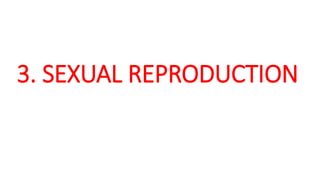 3. SEXUAL REPRODUCTION
 