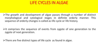 LIFE CYCLES IN ALGAE
The growth and development of algae passes through a number of distinct
morphological and cytological stages in definite orderly manner. This
sequence of orderly changes is called as life cycle or life history.
It comprises the sequence of events from zygote of one generation to the
zygote of next generation.
There are five distinct types of life cycle as found in algae.
 