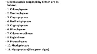 • Eleven classes proposed by Fritsch are as
follows:
• 1. Chlorophyceae
• 2. Xanthophyceae
• 3. Chrysophyceae
• 4. Bacillariophyceae
• 5. Cryptophyceae
• 6. Dinophyceae
• 7. Chloromonadineae
• 8. Euglenineae
• 9. Phaeophyceae
• 10. Rhodophyceae
• 11. Myxophyceae(Blue green algae)
 