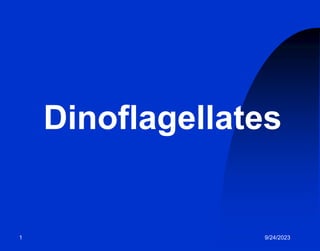 1 9/24/2023
Dinoflagellates
 