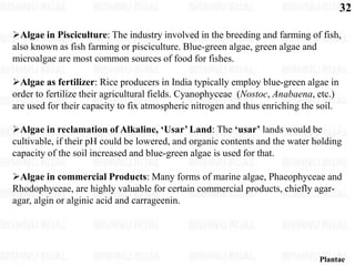 Algae (2).pdf this is the biology note of algae which will help to ...