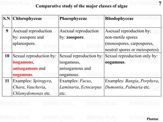 Algae (2).pdf this is the biology note of algae which will help to ...