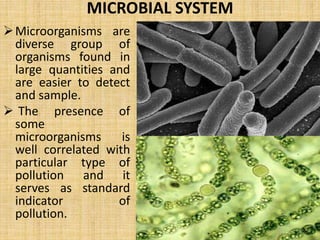 MICROBES AS POLLUTION INDICAION 