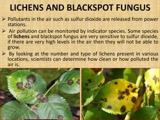 MICROBES AS POLLUTION INDICAION 
