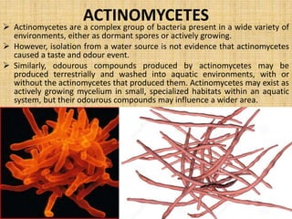 MICROBES AS POLLUTION INDICAION 