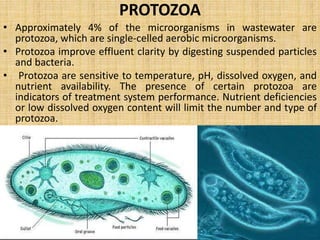 MICROBES AS POLLUTION INDICAION 