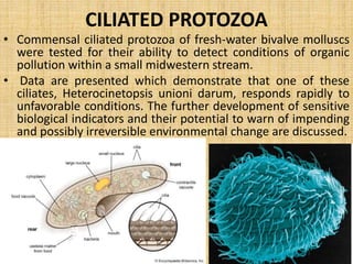 MICROBES AS POLLUTION INDICAION 