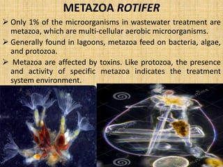 MICROBES AS POLLUTION INDICAION 