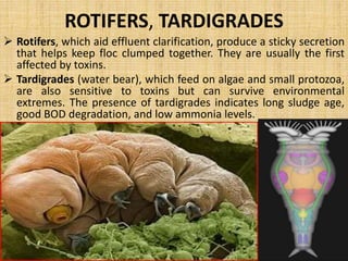 MICROBES AS POLLUTION INDICAION 