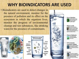 MICROBES AS POLLUTION INDICAION 