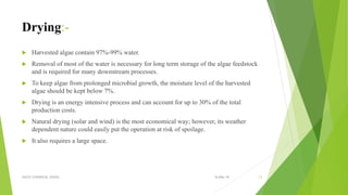 Algae fuel | PPTX