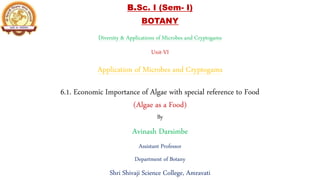 B.Sc. I (Sem- I)
BOTANY
Diversity & Applications of Microbes and Cryptogams
Unit-VI
Application of Microbes and Cryptogams
6.1. Economic Importance of Algae with special reference to Food
(Algae as a Food)
By
Avinash Darsimbe
Assistant Professor
Department of Botany
Shri Shivaji Science College, Amravati
 