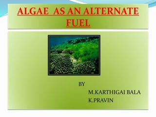ALGAE AS AN ALTERNATE
FUEL
BY
M.KARTHIGAI BALA
K.PRAVIN
 