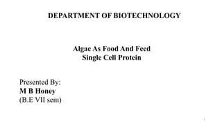 DEPARTMENT OF BIOTECHNOLOGY
Algae As Food And Feed
Single Cell Protein
Presented By:
M B Honey
(B.E VII sem)
1
 