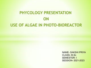 PHYCOLOGY PRESENTATION
ON
USE OF ALGAE IN PHOTO-BIOREACTOR
NAME- SAKSHI PRIYA
CLASS- M.Sc
SEMESTER- I
SESSION- 2021-2023
 