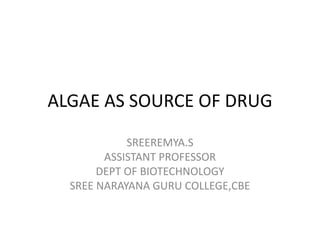 ALGAE AS SOURCE OF DRUG
SREEREMYA.S
ASSISTANT PROFESSOR
DEPT OF BIOTECHNOLOGY
SREE NARAYANA GURU COLLEGE,CBE
 