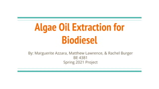 Algae Oil Extraction for
Biodiesel
By: Marguerite Azzara, Matthew Lawrence, & Rachel Burger
BE 4381
Spring 2021 Project
 