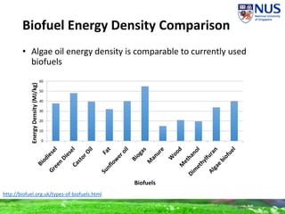 Biofuel Energy Density Comparison
0
10
20
30
40
50
60
EnergyDensity(MJ/kg)
Biofuels
http://biofuel.org.uk/types-of-biofuels.html
• Algae oil energy density is comparable to currently used
biofuels
 