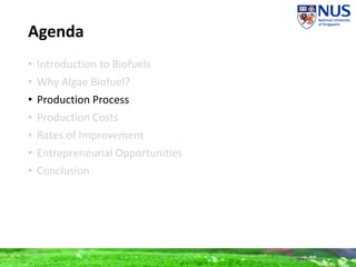 Agenda
• Introduction to Biofuels
• Why Algae Biofuel?
• Production Process
• Production Costs
• Rates of Improvement
• Entrepreneurial Opportunities
• Conclusion
 