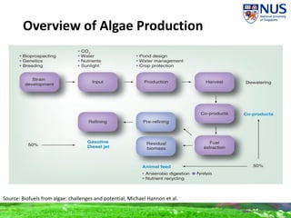 Overview of Algae Production
Source: Biofuels from algae: challenges and potential, Michael Hannon et al.
Pyrolysis
 