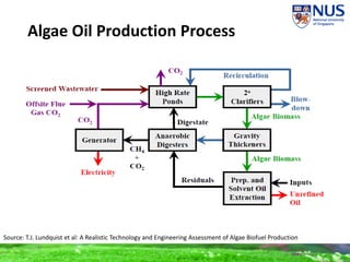 Algae Oil Production Process
Source: T.J. Lundquist et al: A Realistic Technology and Engineering Assessment of Algae Biofuel Production
 