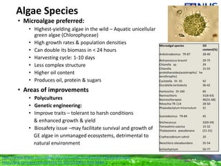 Algae Species
• Microalgae preferred:
• Highest-yielding algae in the wild – Aquatic unicellular
green algae (Chlorophyceae)
• High growth rates & population densities
• Can double its biomass in < 24 hours
• Harvesting cycle: 1-10 days
• Less complex structure
• Higher oil content
• Produces oil, protein & sugars
• Areas of improvements
• Polycultures
• Genetic engineering:
• Improve traits – tolerant to harsh conditions
& enhanced growth & yield
• Biosafety issue –may facilitate survival and growth of
GE algae in unmanaged ecosystems, detrimental to
natural environment
Microalgal species Oil
content(%)
Ankistrodesmus TR-87 28-40
Botryococcus braunii 29-75
Chlorella sp. 29
Chlorella
protothecoides(autotrophic/ he
terothrophic)
15-55
Cyclotella DI- 35 42
Dunaliella tertiolecta 36-42
Hantzschia DI-160 66
Nannochloris 31(6-63)
Nannochloropsis 46(31-68)
Nitzschia TR-114 28-50
Phaeodactylum tricornutum 31
Scenedesmus TR-84 45
Stichococcus 33(9-59)
Tetraselmis suecica 15-32
Thalassiosira pseudonana (21-31)
Crpthecodinium cohnii 20
Neochloris oleoabundans 35-54
Schiochytrium 50-77
http://www.oilgae.com/algae/oil/yield/yield.html#sthash.f2Udun8U.dpuf
http://link.springer.com/article/10.1007/s10811-010-9644-1
 