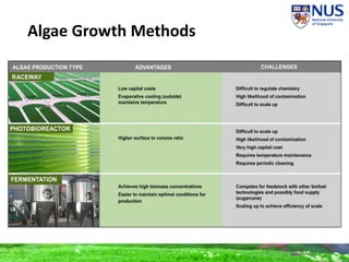 Algae Growth Methods
 