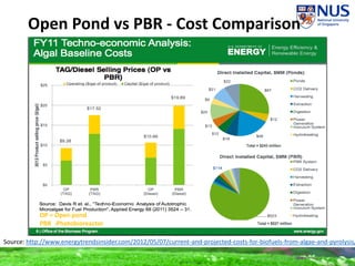 Open Pond vs PBR - Cost Comparison
OP = Open pond
PBR -Photobioreactor
Source: http://www.energytrendsinsider.com/2012/05/07/current-and-projected-costs-for-biofuels-from-algae-and-pyrolysis/
 