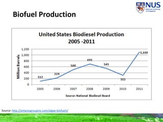 Biofuel Production
Source: http://antaresgroupinc.com/algae-biofuels/
 