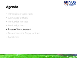 Agenda
• Introduction to Biofuels
• Why Algae Biofuel?
• Production Process
• Production Costs
• Rates of Improvement
• Entrepreneurial Opportunities
• Conclusion
 