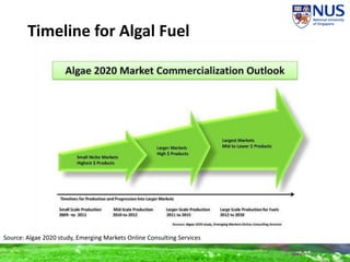 Timeline for Algal Fuel
Source: Algae 2020 study, Emerging Markets Online Consulting Services
 