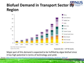 Biofuel Demand in Transport Sector by
Region
Major part of this demand is expected to be fulfilled by algae biofuel since
it has high potential in terms of technology and yield.
Source: https://www.iea.org/publications/freepublications/publication/Biofuels_Roadmap_WEB.pdf
ExaJoules (EJ) = 10^18 Joules
 