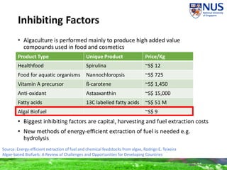 Inhibiting Factors
• Algaculture is performed mainly to produce high added value
compounds used in food and cosmetics
• Biggest inhibiting factors are capital, harvesting and fuel extraction costs
• New methods of energy-efficient extraction of fuel is needed e.g.
hydrolysis
Product Type Unique Product Price/Kg
Healthfood Spirulina ~S$ 12
Food for aquatic organisms Nannochloropsis ~S$ 725
Vitamin A precursor ß-carotene ~S$ 1,450
Anti-oxidant Astaaxanthin ~S$ 15,000
Fatty acids 13C labelled fatty acids ~S$ 51 M
Algal Biofuel ~S$ 9
Source: Energy-efficient extraction of fuel and chemical feedstocks from algae, Rodrigo E. Teixeira
Algae-based Biofuels: A Review of Challenges and Opportunities for Developing Countries
 