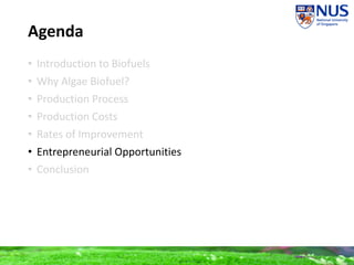 Agenda
• Introduction to Biofuels
• Why Algae Biofuel?
• Production Process
• Production Costs
• Rates of Improvement
• Entrepreneurial Opportunities
• Conclusion
 