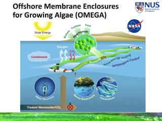 Offshore Membrane Enclosures
for Growing Algae (OMEGA)
http://www.nasa.gov/centers/ames/research/OMEGA/#.VQ1FSPmUc9Q
 