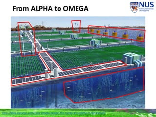 From ALPHA to OMEGA
http://blog.planetos.com/nasa-omega-project-the-ocean-as-a-platform-for-biofuel/
 