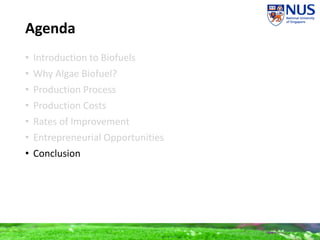 Agenda
• Introduction to Biofuels
• Why Algae Biofuel?
• Production Process
• Production Costs
• Rates of Improvement
• Entrepreneurial Opportunities
• Conclusion
 