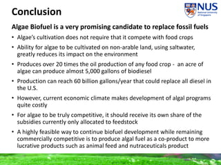 Conclusion
Algae Biofuel is a very promising candidate to replace fossil fuels
• Algae’s cultivation does not require that it compete with food crops
• Ability for algae to be cultivated on non-arable land, using saltwater,
greatly reduces its impact on the environment
• Produces over 20 times the oil production of any food crop - an acre of
algae can produce almost 5,000 gallons of biodiesel
• Production can reach 60 billion gallons/year that could replace all diesel in
the U.S.
• However, current economic climate makes development of algal programs
quite costly
• For algae to be truly competitive, it should receive its own share of the
subsidies currently only allocated to feedstock
• A highly feasible way to continue biofuel development while remaining
commercially competitive is to produce algal fuel as a co-product to more
lucrative products such as animal feed and nutraceuticals product
 
