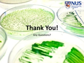 Thank You!
Any Questions?
 