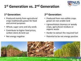 1st Generation vs. 2nd Generation
2nd Generation:
• Produced from non-edible crops
grown on non-arable land
• Lignocellulosic biomass or woody
crops, agricultural residues or
organic waste
• Harder to extract the required fuel
• Potential to be net energy positive
1st Generation:
• Produced mainly from agricultural
crops traditionally grown for food
and animal purposes
• Wheat, sugar cane and oily seeds
• Contribute to higher food prices,
carbon stores & land use
• Net energy negative
 