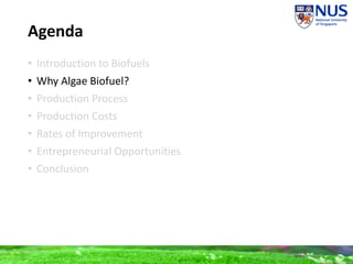 Agenda
• Introduction to Biofuels
• Why Algae Biofuel?
• Production Process
• Production Costs
• Rates of Improvement
• Entrepreneurial Opportunities
• Conclusion
 