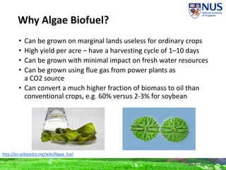 Why Algae Biofuel?
• Can be grown on marginal lands useless for ordinary crops
• High yield per acre – have a harvesting cycle of 1–10 days
• Can be grown with minimal impact on fresh water resources
• Can be grown using flue gas from power plants as
a CO2 source
• Can convert a much higher fraction of biomass to oil than
conventional crops, e.g. 60% versus 2-3% for soybean
http://en.wikipedia.org/wiki/Algae_fuel
 