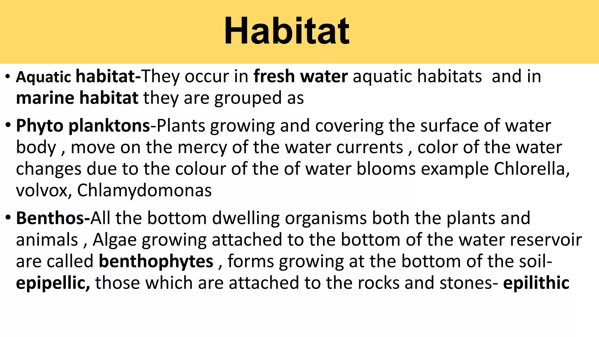Habitat
• Aquatic habitat-They occur in fresh water aquatic habitats and in
marine habitat they are grouped as
• Phyto planktons-Plants growing and covering the surface of water
body , move on the mercy of the water currents , color of the water
changes due to the colour of the of water blooms example Chlorella,
volvox, Chlamydomonas
• Benthos-All the bottom dwelling organisms both the plants and
animals , Algae growing attached to the bottom of the water reservoir
are called benthophytes , forms growing at the bottom of the soil-
epipellic, those which are attached to the rocks and stones- epilithic
 
