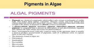 Pigments in Algae
 