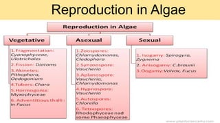 Reproduction in Algae
 